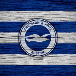 Download wallpapers Brighton and Hove Albion, 4k, Premier League