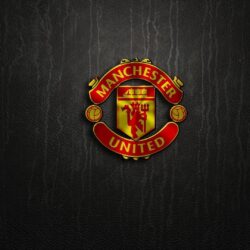 Manchester United Best Logo Wallpapers Hd 6877 wallpapers