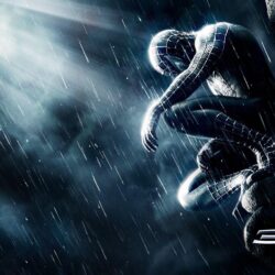 Wallpapers For > Spider Man 3d Wallpapers Hd