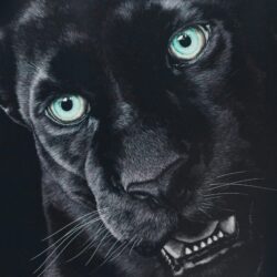 Black Jaguar Wallpapers HD Download