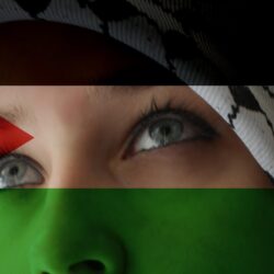 Freedom models flags palestine gaza activism free wallpapers