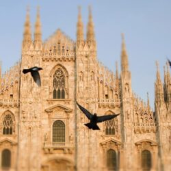 Italy pigeons cathedral milan city wallpapers