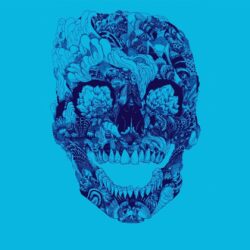 Day of the dead skull [] : wallpapers