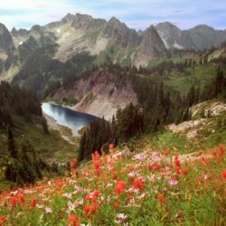 px Mount Rainier National Park