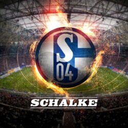 Schalke Wallpapers HD 2013