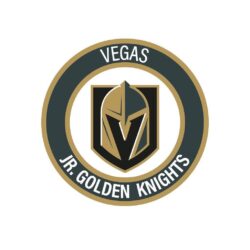 2017 NHL Draft Rankings Report – Knights of The Roundtable