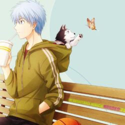 Cute Kuroko And Number 2 2q Wallpapers Hd And Also Kuroko Dog