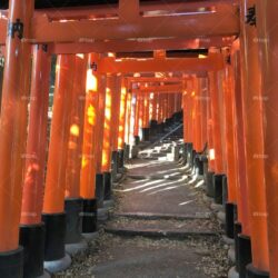 Foap: Fushimi Inari Shrine, Kyoto stock photo by theo dore