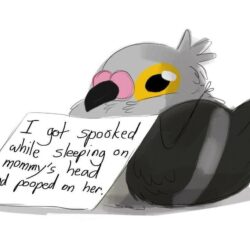 Pidove is so cute >^.^