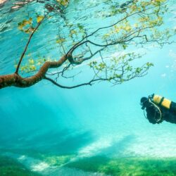 60+ Bahamas Diving Wallpapers