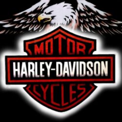17 Best image about Harley Davidson