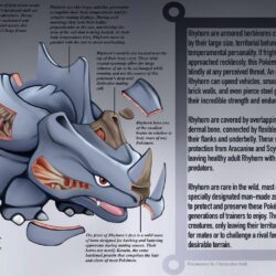 Rhyhorn Anatomy