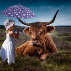 Girl in white dress under the umbrella near the highland