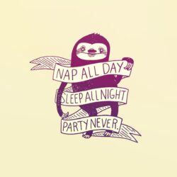 Made a wallpapers out of "Nap all day" sloth : wallpapers