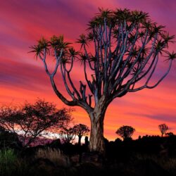 6 Namibia HD Wallpapers