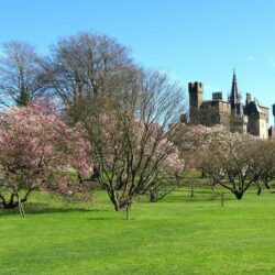 Cardiff Castle View Wallpapers