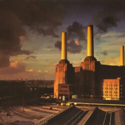 music, Pink Floyd, animals, psychedelic, album covers, Pink Floyd