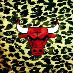 Chicago Bulls Wallpapers 3D Wallpapers