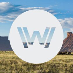 I thought I would share some Westworld wallpapers I made!