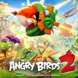 Angry Birds 2 Game Wallpapers