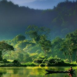 nature, Landscape, Mist, Sunrise, Forest, River, Mountain