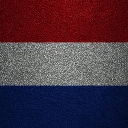 Download wallpapers Flag of the Netherlands, 4k, leather texture
