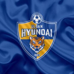 Download wallpapers Ulsan Hyundai FC, silk flag, 4k, logo, emblem