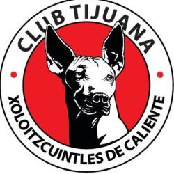 Club Tijuana Wallpapers by scarface2012