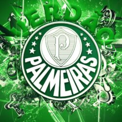 Palmeiras Wallpapers HD