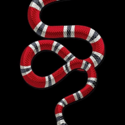 Gucci Snake Wallpapers