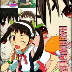 Hachikuji Mayoi