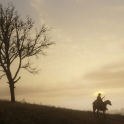 Check Out 27 Beautiful New Red Dead Redemption 2 Screenshots