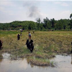 Burma: More than 100 Rohingya Muslims massacred in Rakhine state