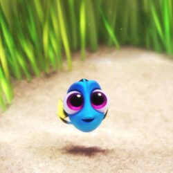 Finding Dory Wallpapers HD Backgrounds, Image, Pics, Photos Free