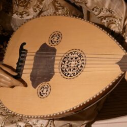 brown stringed instrument free image