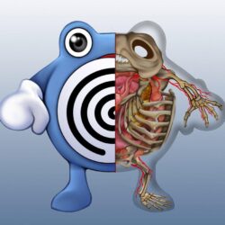 Poliwhirl Anatomy by Christopher
