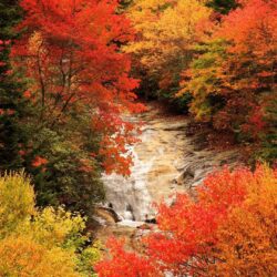 Blue Ridge Parkway, North Carolina, Autumn HD desktop wallpapers