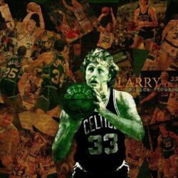 Larry Bird Wallpapers