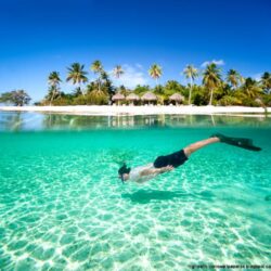 Diving Paradise Beach Wallpapers Hd