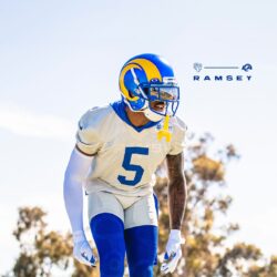 los angeles rams wallpaper,Quality assurance,protein