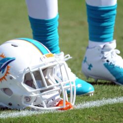 miami dolphins hd widescreen wallpapers backgrounds
