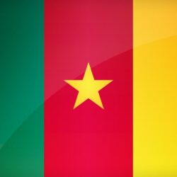 Flag of Cameroon