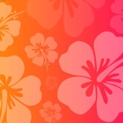 Hawaiian Flower Wallpapers : Pink Hawaiian Flowers Backgrounds Utama
