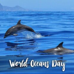 Happy World Oceans Day Our Ocean Our Future Wallpapers