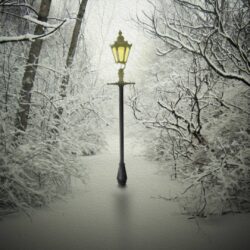 Narnia Lamp Post Wallpapers