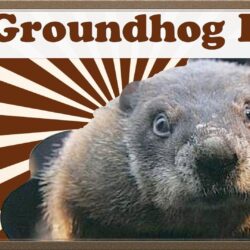 Groundhog Day Explained