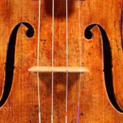Violin HD Wallpapers