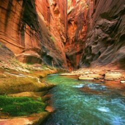 Hiking the Narrows in Zion.