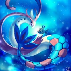 Milotic and feebas