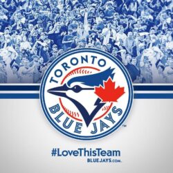 Image For > Blue Jays Wallpapers